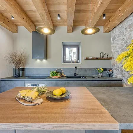 Stone Istria Private Pool Paradise