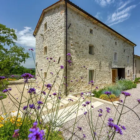 Stone Istria Private Pool Paradise *