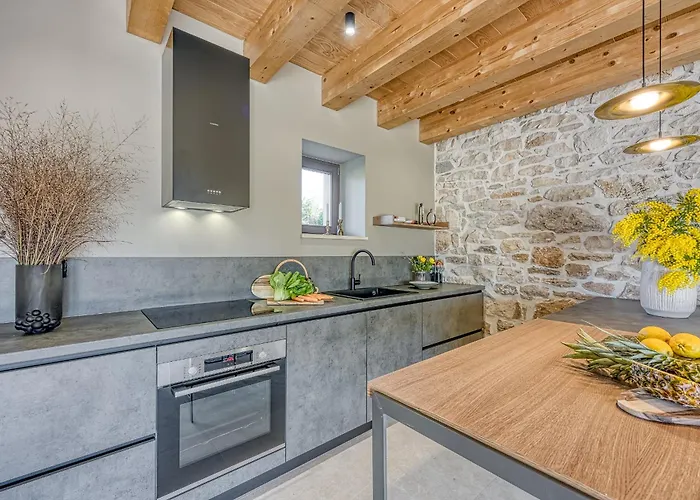 Villa Stone Istria Private Pool Paradise *