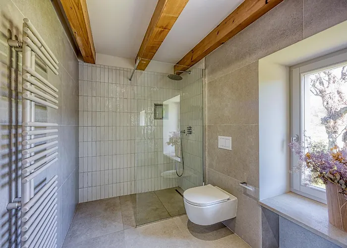Stone Istria Private Pool Paradise