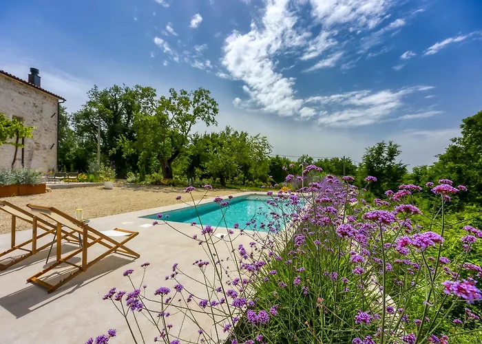 Stone Istria Private Pool Paradise Vila
