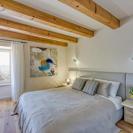 Stone Istria Private Pool Paradise Villa *